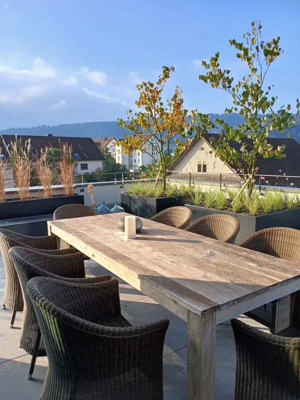 Zwei kleine Bäume in modernen Pflanzgefässen auf einer Dachterrasse